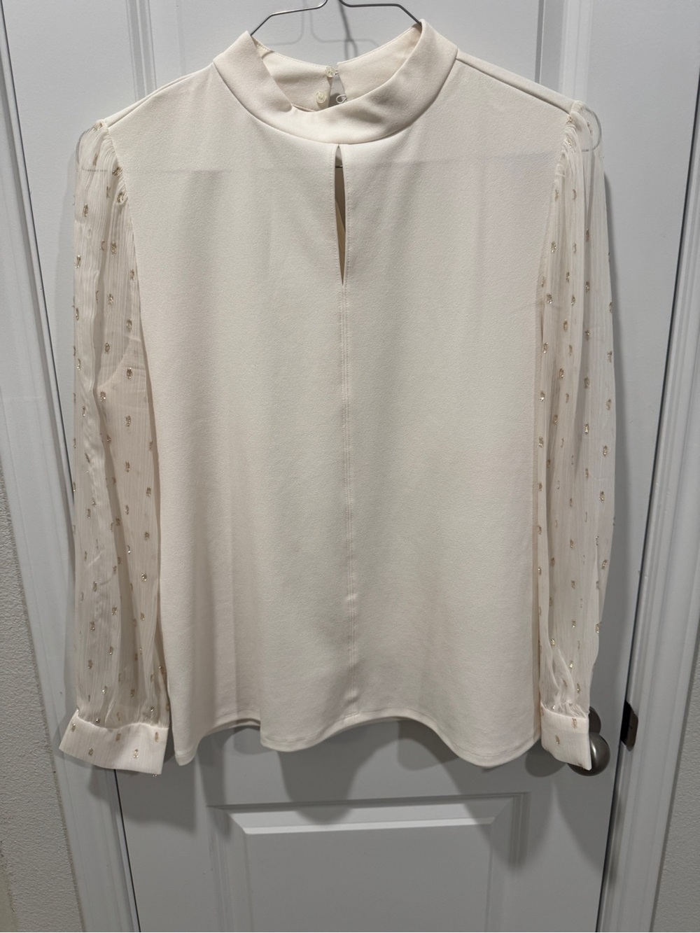 Ann Taylor Elegant Cream Blouse with Sheer Embellished Sleeves